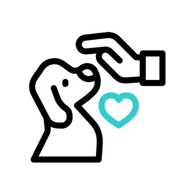 Pet Wellness